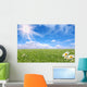 Bright Beautiful Daisy and Grass Field Wall Mural