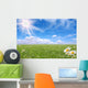 Bright Beautiful Daisy and Grass Field Wall Mural
