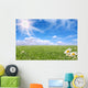 Bright Beautiful Daisy and Grass Field Wall Mural