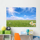 Bright Beautiful Daisy and Grass Field Wall Mural