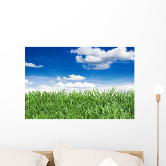 Sonne Wall Decal Design 2
