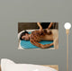spa organic full body masque Wall Mural