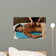 spa organic full body masque Wall Mural