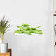 Small pile of green bean pods Wall Decal