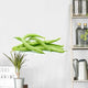 Small pile of green bean pods Wall Decal