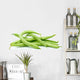 Small pile of green bean pods Wall Decal