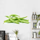 Small pile of green bean pods Wall Decal
