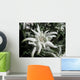 Edelweiss in the sunshine Wall Mural