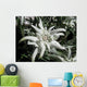 Edelweiss in the sunshine Wall Mural