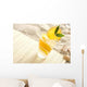 Colorful Drink Beach Wall Decal