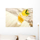 Colorful Drink Beach Wall Decal