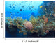 Underwater Wreck of the Liberty Wall Mural