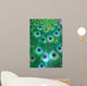 PAVOME Wall Mural