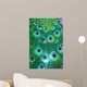 PAVOME Wall Mural