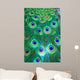 PAVOME Wall Mural