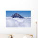 Volcano Koryaksky Wall Decal