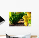 Muscat Wall Decal