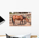 Horse Wall Mural