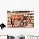 Horse Wall Mural