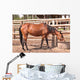 Horse Wall Mural