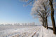 Winterfeld Wall Decal