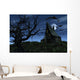 Witch's House Wall Mural