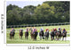 Horse Racing Wall Mural