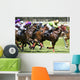 Horse Racing Wall Mural