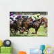 Horse Racing Wall Mural