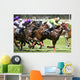 Horse Racing Wall Mural