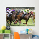 Horse Racing Wall Mural