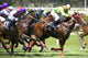Horse Racing Wall Mural