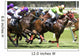 Horse Racing Wall Mural