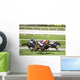 Horse Racing Wall Mural