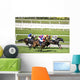 Horse Racing Wall Mural