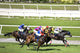 Horse Racing Wall Mural