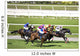 Horse Racing Wall Mural