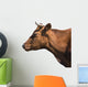 Brown Cow Head Wall Decal