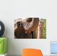 Elefant Wall Mural
