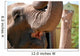Elefant Wall Mural