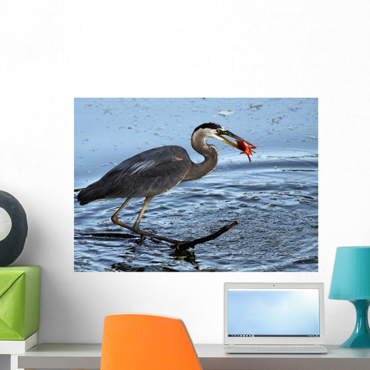 Great Catch Wall Mural