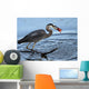 Great Catch Wall Mural