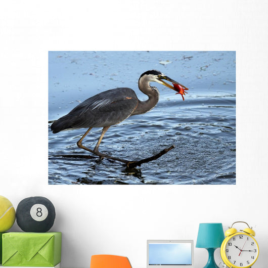 Great Catch Wall Mural