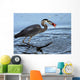 Great Catch Wall Mural
