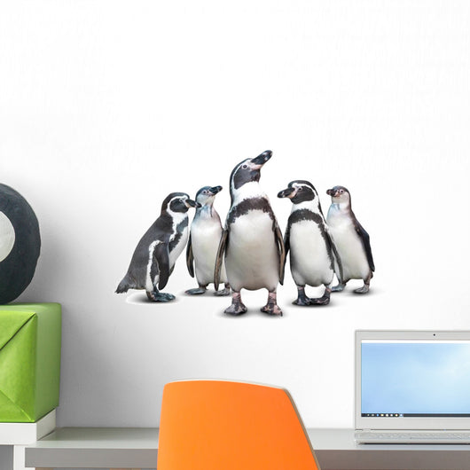 African Penguins Wall Decal
