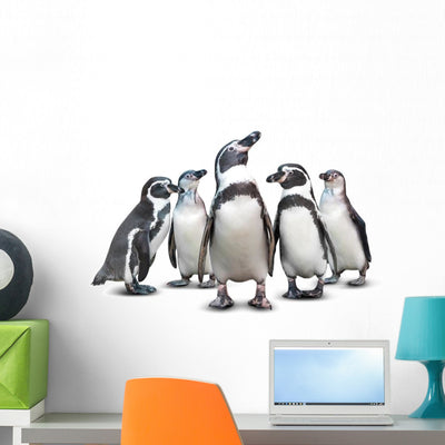 African Penguins Wall Decal shown on a wall
