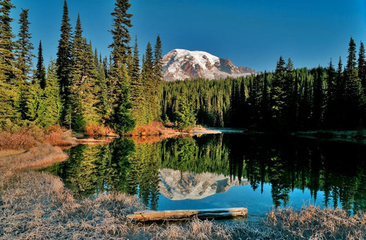 Mt Rainier Frozen Shore Wall Decal