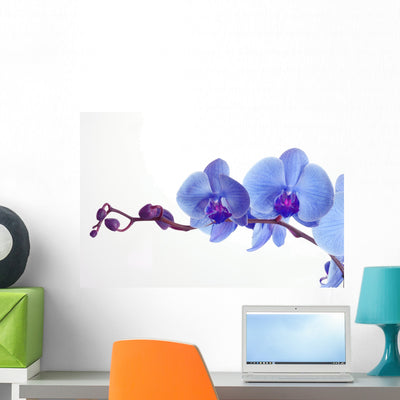 Blue Orchid Wall Decal shown on a wall