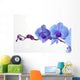 Blue Orchid Wall Decal