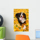 Bernese Mountain Dog Wall Mural